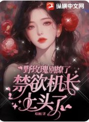 《野玫瑰别撩了,禁欲机长上头了》