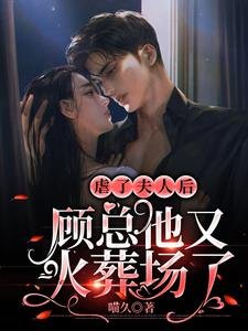 虐了夫人后，顾总他又火葬场了