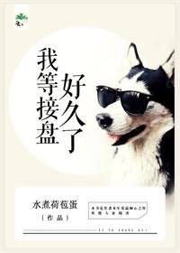 《二婚嫁给霸道老总/我等接盘好久了》