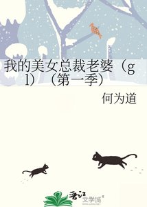 《我的美女总裁老婆(gl)(第一季)》