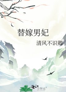 《宸王榻侧:替嫁男妃》