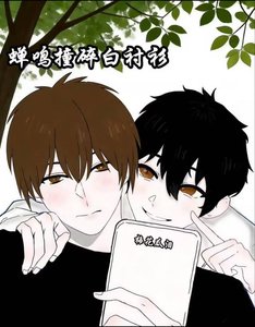 《蝉鸣撞碎白衬衫》
