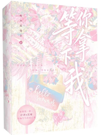 《等你拿下我》