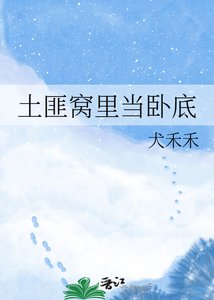 《土匪窝里当卧底》