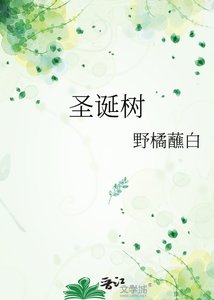 《圣诞树》