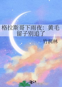 《格拉斯哥下雨夜:黄毛留子别追了》