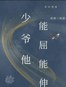 少爷他能屈能伸