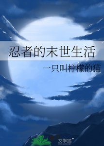 《(火影同人)火影:鸣佐的末世生活/忍者的末世生活》