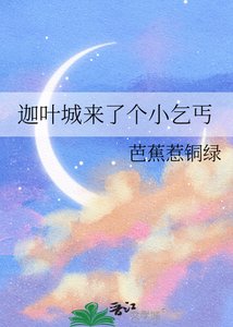 《迦叶城来了个小乞丐》