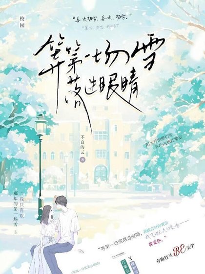 《等第一场雪落进眼睛》