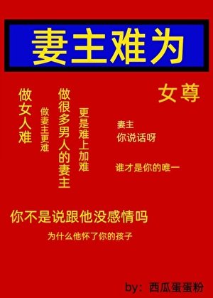 《妻主难为(女尊)》