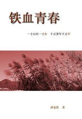 《铁血青春》