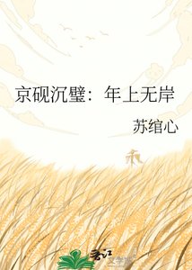 《京砚沉璧:年上无岸》