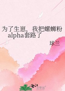 《为了生崽,我把螺蛳粉alpha套路了》