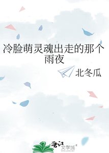 《冷脸萌灵魂出走的那个雨夜》
