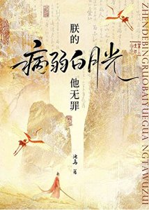 《朕的病弱白月光他无罪》