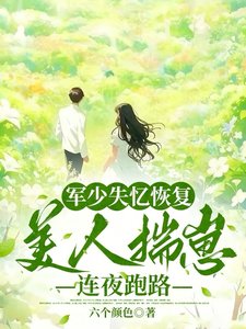 《军少失忆恢复,美人揣崽连夜跑路/六零藏区遇前任,失忆首长争又抢》