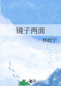 《镜子两面》