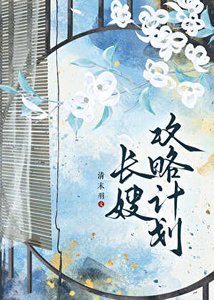 《长嫂攻略计划》