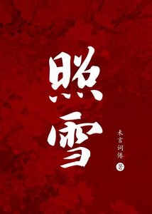 《照雪》