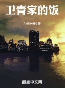 《卫青家的饭》