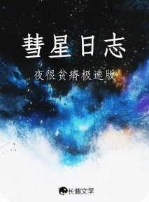 《彗星日志》