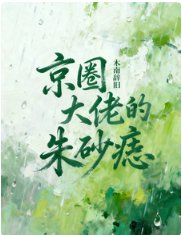 《京圈大佬的朱砂痣》