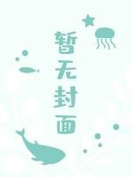 雪之谜题