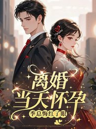 《离婚当天怀孕,季总悔红了眼》