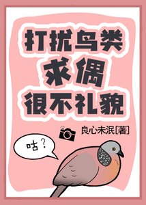 《打扰鸟类求偶很不礼貌!》