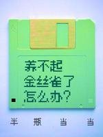 养不起金丝雀了怎么办？