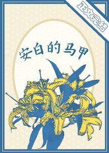 《安白的马甲》