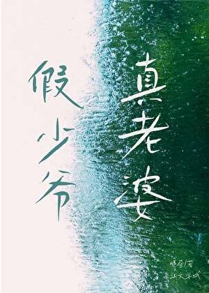 《假少爷,真老婆》