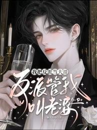 我把反派当大哥，反派管我叫老婆