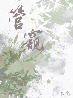 《管窥》