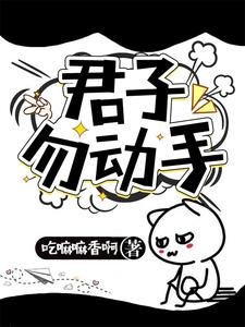 《君子勿动手》