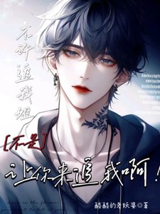 《不许追我姐,不是让你来追我啊!》