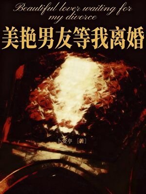 美艳男友等我离婚[豪门]