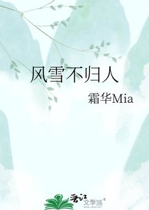 《风雪不归人》