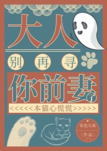《大人,别再寻你前妻了》