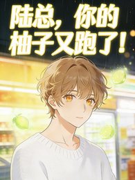 《陆总,你的柚子又跑了!》