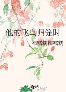 《他的飞鸟归笼时》