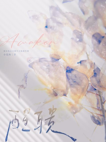 醒聩