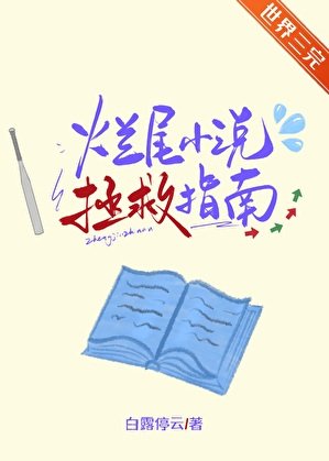 《烂尾拯救指南》