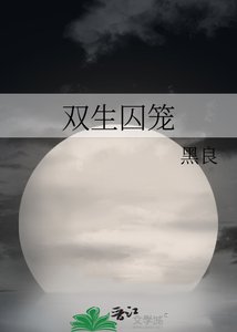 《双生囚笼》