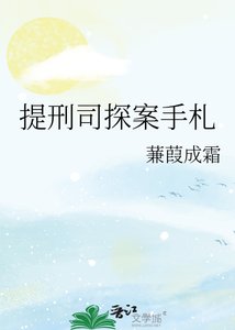 《提刑司探案手札》