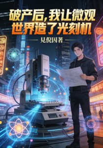 《破产后,我让微观世界造了光刻机》