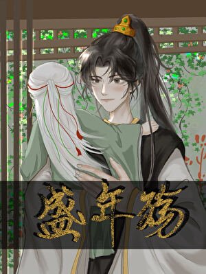 《盛年殇》