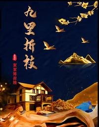 《九里折枝》