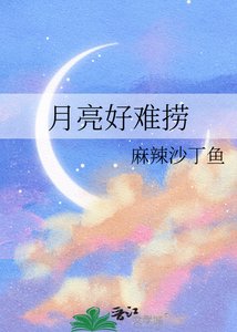 月亮好难捞